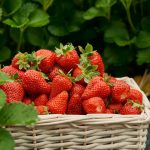 Los 12 alimentos más contaminados de este 2026: cuáles son y por qué son peligrosos para la salud