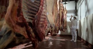 Por qué, en pleno "boom ganadero", el sector frigorífico está en crisis
