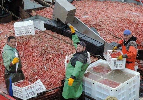 langostino