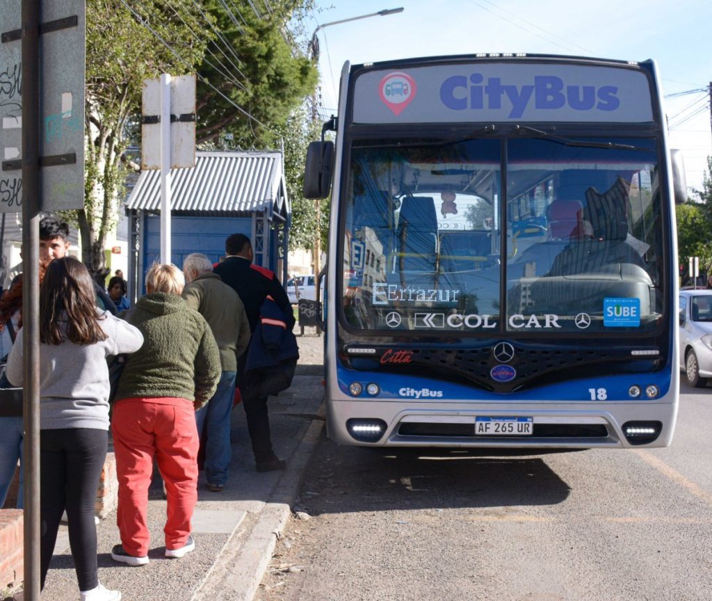 colectivo